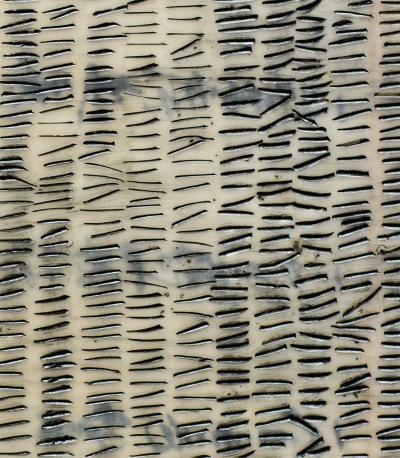 Catherine Eaton Skinner: 108