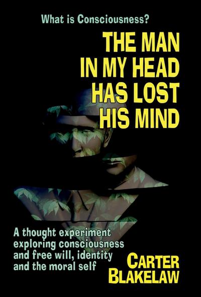 The Man in My Head Has Lost His Mind (What is Consciousness?)