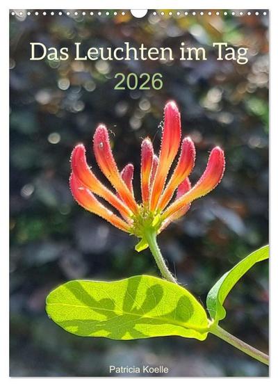 Das Leuchten im Tag (Wandkalender 2026 DIN A3 hoch), CALVENDO Monatskalender