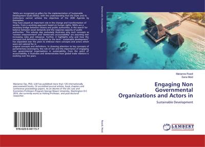 Engaging Non Governmental Organizations and Actors in