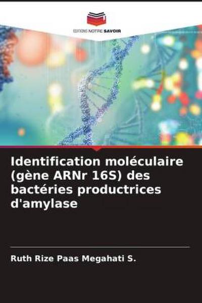 Identification moléculaire (gène ARNr 16S) des bactéries productrices d’amylase