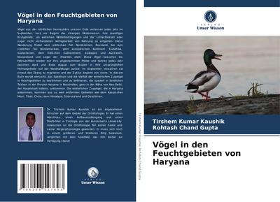 Vögel in den Feuchtgebieten von Haryana