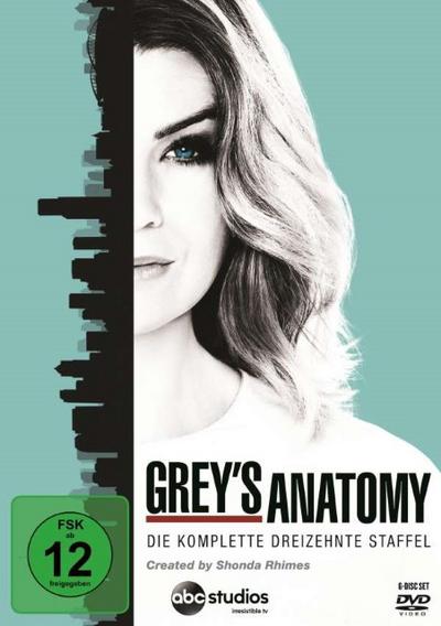Grey’s Anatomy: Die jungen Ärzte - Die komplette 13. Staffe DVD-Box