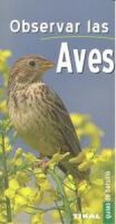 Observar a las aves