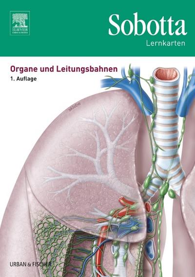 Sobotta Lernkarten Organe und Leitungsbahnen, Lernkarten