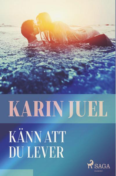 The burden bearer; an epic of Lincoln