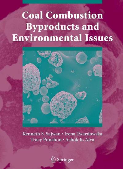 Coal Combustion Byproducts and Environmental Issues