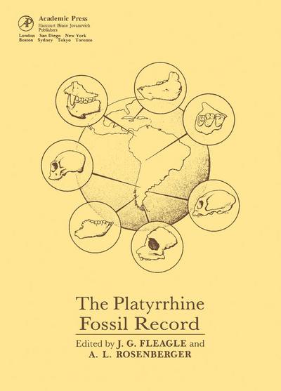 The Platyrrhine Fossil Record