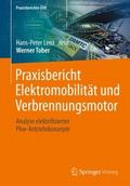 Praxisbericht Elektromobilität und Verbrennungsmot