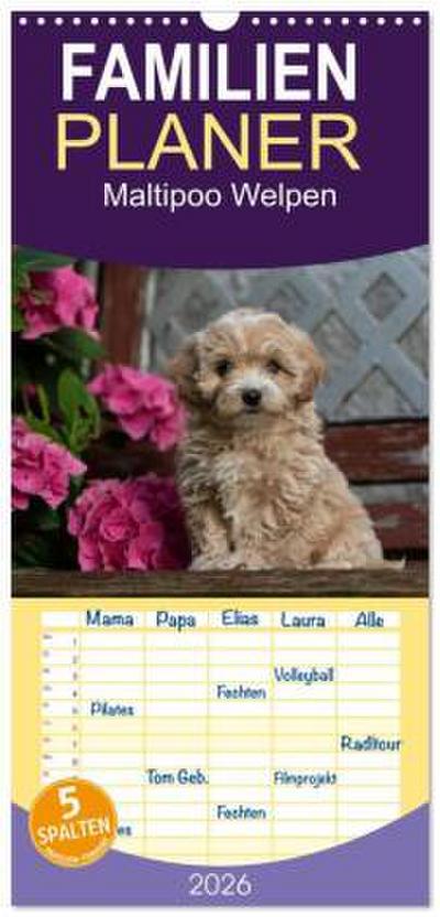 Familienplaner 2026 - Maltipoo Welpen mit 5 Spalten (Wandkalender, 21 x 45 cm) CALVENDO