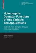 Holomorphic Operator Functions of One Variable and