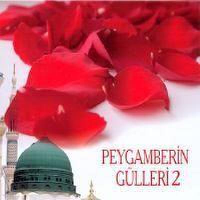 Peygamberin Gülleri 2 CD