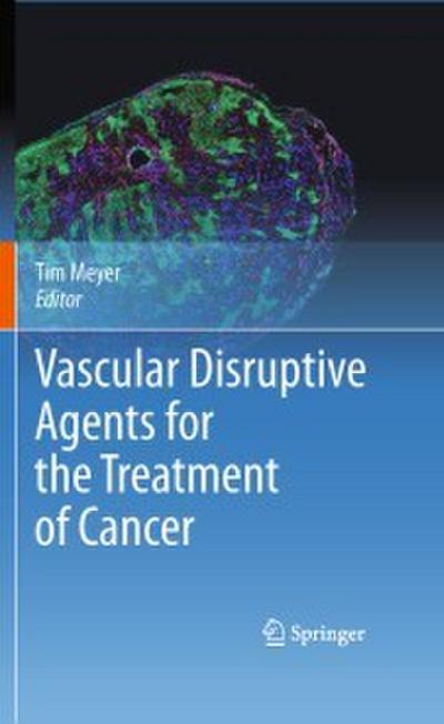 Vascular Disruptive Agents for the Treatment of Cancer