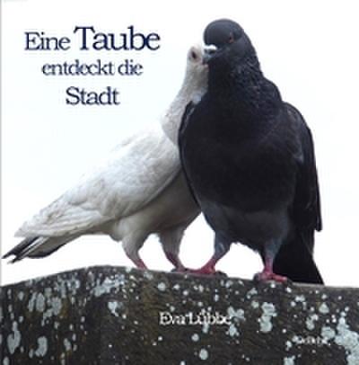 Eine Taube entdeckt die Stadt