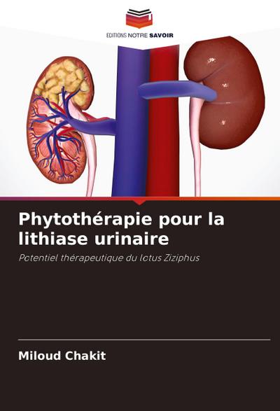 Phytothérapie pour la lithiase urinaire