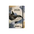 matabooks - A5 Kalender Samaya 2026 Farbe: Ocean Blue