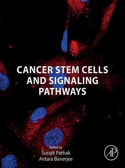 Cancer Stem Cells and Signaling Pathways