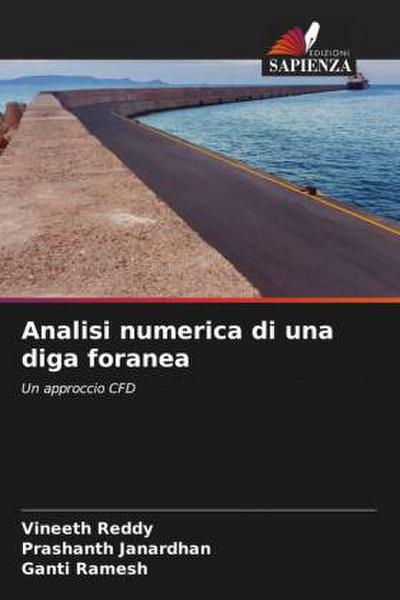 Analisi numerica di una diga foranea