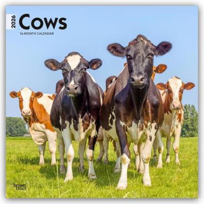 Cows - Kühe 2026 - 16-Monatskalender