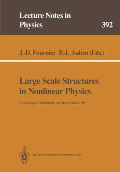 Large Scale Structures in Nonlinear Physics
