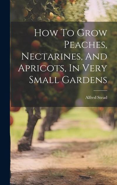 How To Grow Peaches, Nectarines, And Apricots, In Very Small Gardens