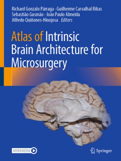 Atlas of Intrinsic Brain Architecture for Microsurgery