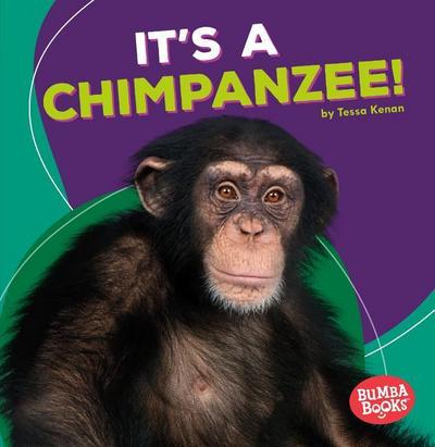 It’s a Chimpanzee!