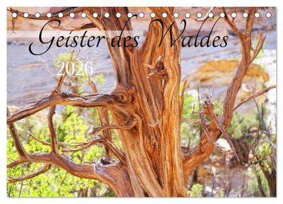 Geisterbäume (Tischkalender 2026 DIN A5 quer), CALVENDO Monatskalender