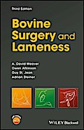 Bovine Surgery and Lameness