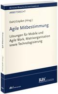 Agile Mitbestimmung