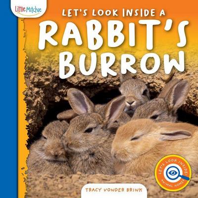 Let’s Look Inside a Rabbit’s Burrow