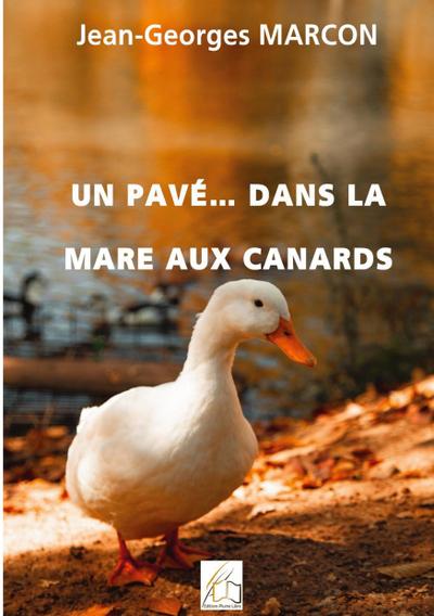 Un pavé... dans la mare aux canards