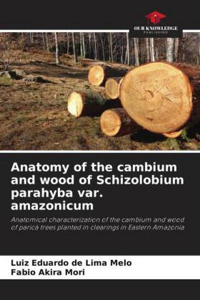 Anatomy of the cambium and wood of Schizolobium parahyba var. amazonicum