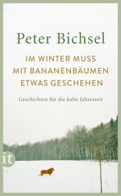 Im Winter muss mit Bananenbäumen etwas geschehen