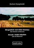 Morgenlicht und wilde Schwäne - Brzask i dzikie ta