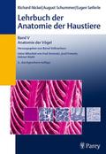 Lehrbuch der Anatomie der Haustiere V