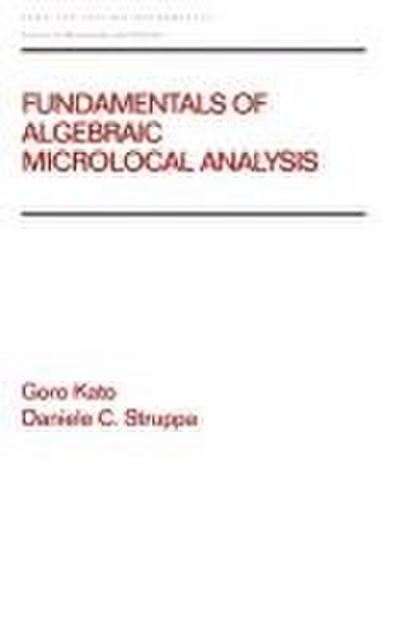 Fundamentals of Algebraic Microlocal Analysis