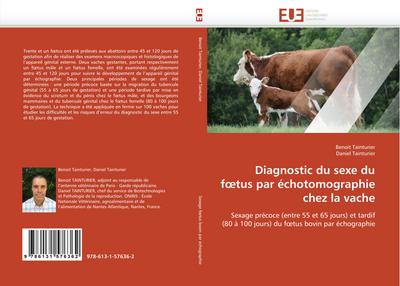 Diagnostic du sexe du f¿tus par échotomographie chez la vache