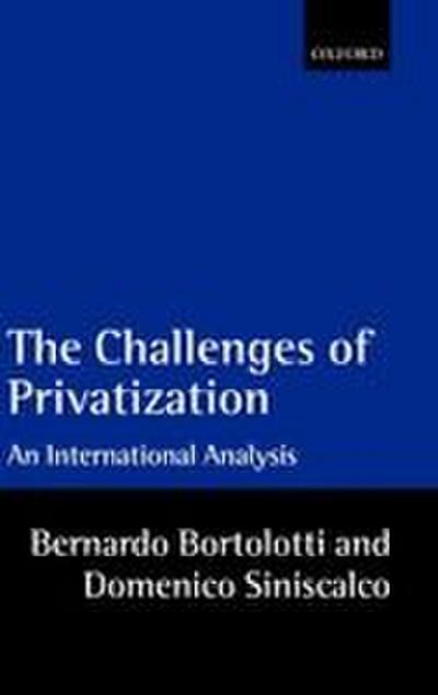 The Problems of Privatization