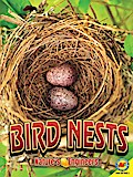 Bird Nests