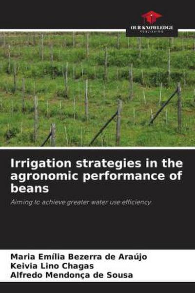 Irrigation strategies in the agronomic performance of beans