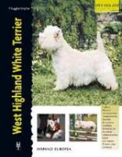 West Higland white terrier