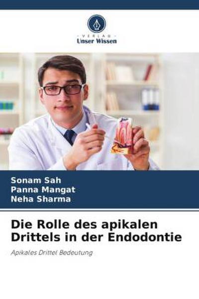Die Rolle des apikalen Drittels in der Endodontie
