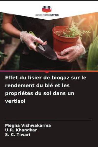 Effet du lisier de biogaz sur le rendement du blé et les propriétés du sol dans un vertisol