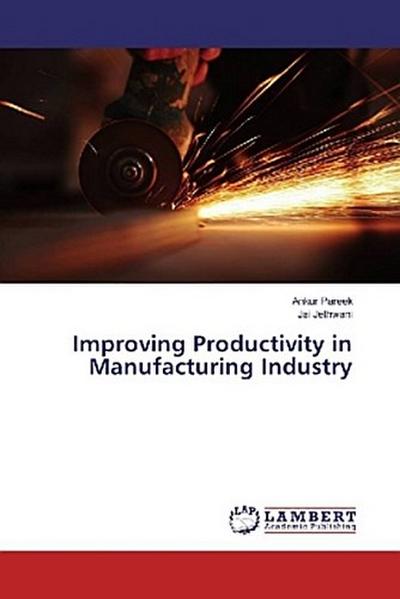 Improving Productivity in Manufacturing Industry