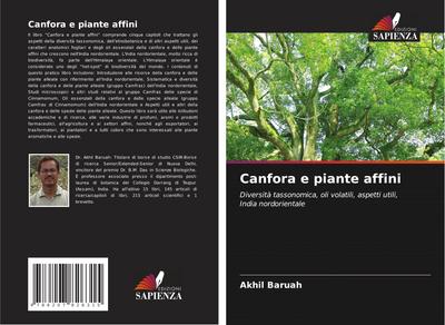 Canfora e piante affini