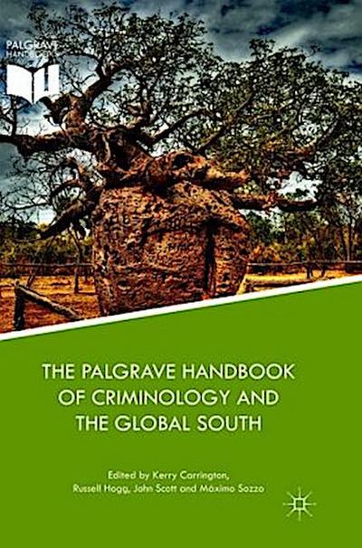 The Palgrave Handbook of Criminology and the Global South