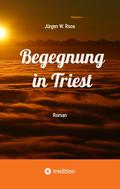 Begegnung in Triest - Ein spannender Politthriller