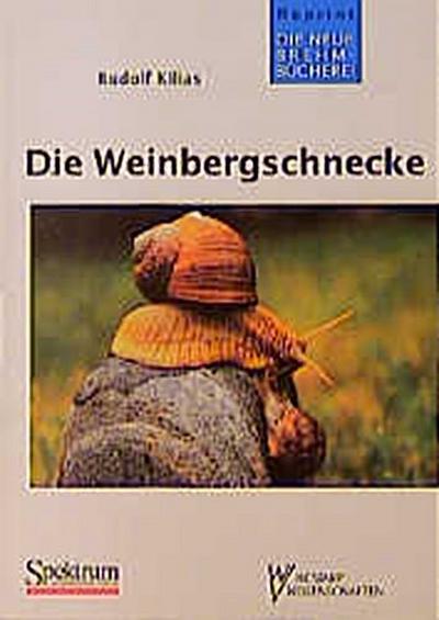Die Weinbergschnecke
