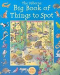 The Usborne Big Book of Things to Spot